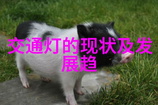 河北科胜塑料薄膜铝箔饮料瓶色带打码机