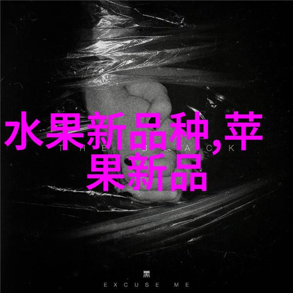 河南财经政法大学流金岁月的法治之冠
