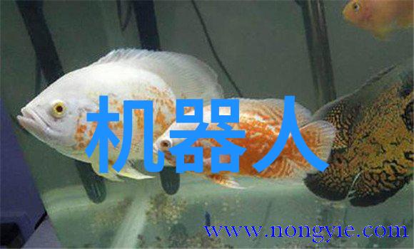 法兰弯头管件生产厂家专业制造高质量的法兰弯头管件