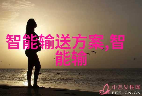 分选机型号之谜揭秘那些神秘的数字与字母组合