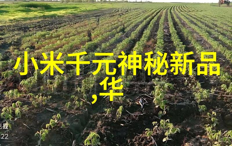 超自然科技强国未来世界的奇迹与挑战超级智能机器人量子通信技术高能粒子物理