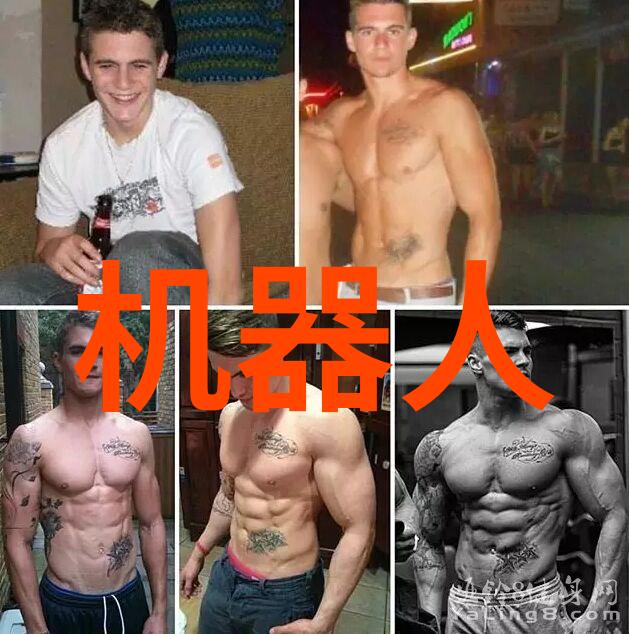 丝网填料和陶瓷填料区别-细节对比与应用探究