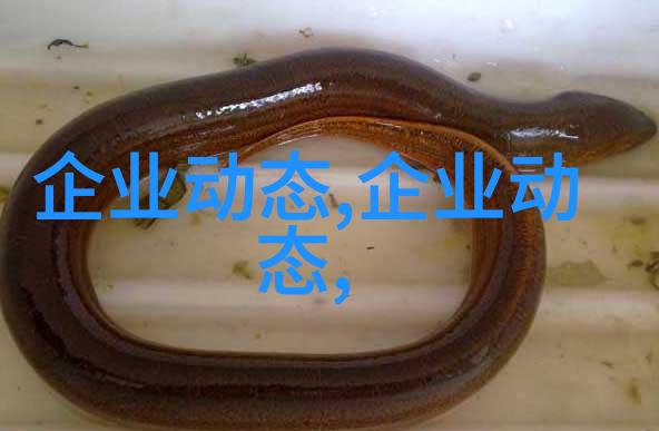 第一财经直播-金融市场实时解析跟随第一财经直播精准把握经济动向