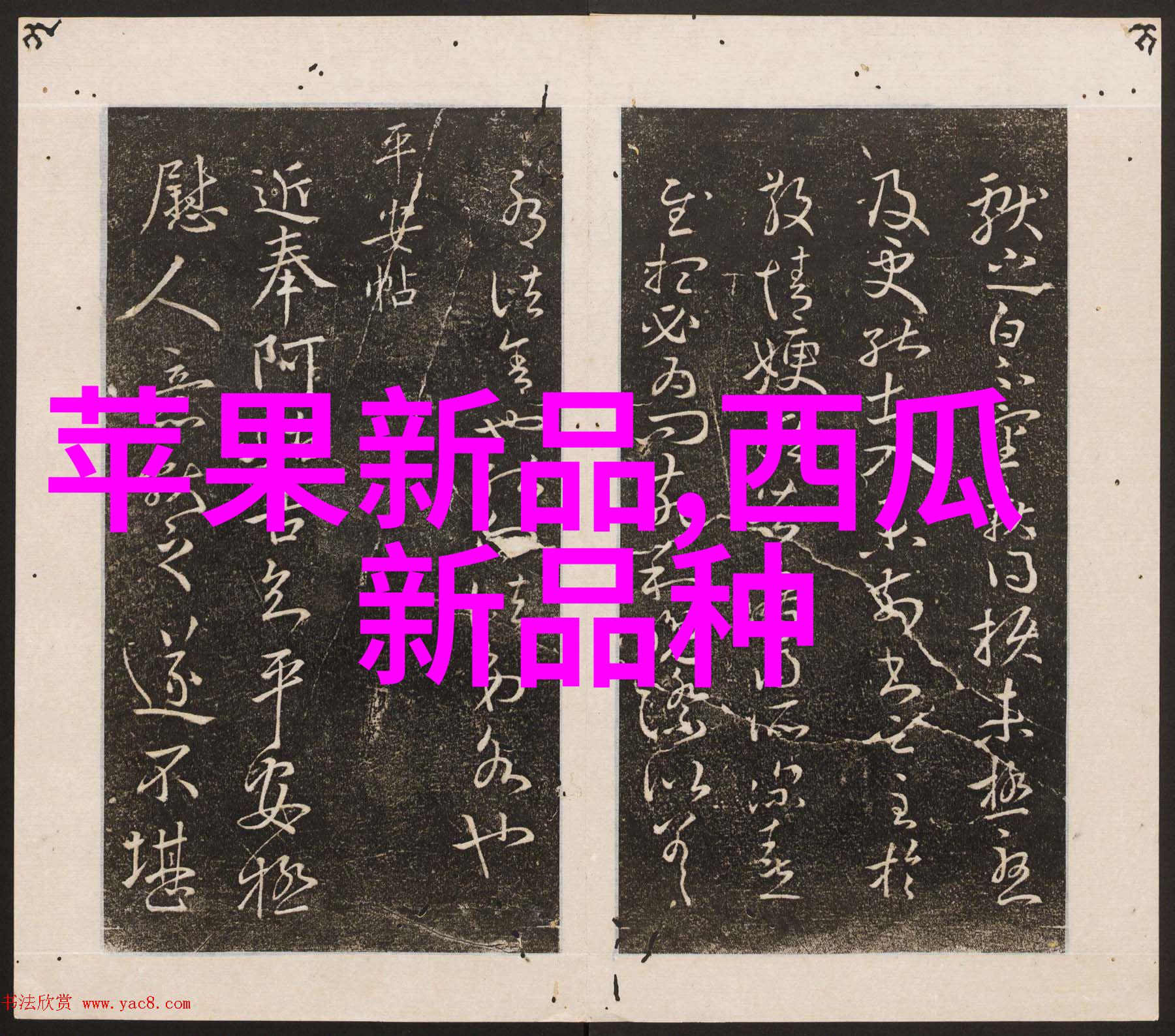 密度与热容积如何影响物质的热传导能力