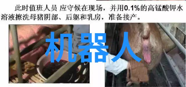 纯净水自动售水机清新饮用体验的智能选择