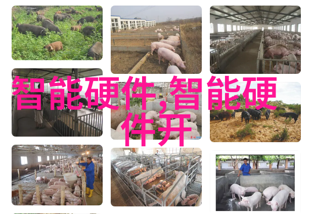 化工颗粒剂机械生产技术与应用概述