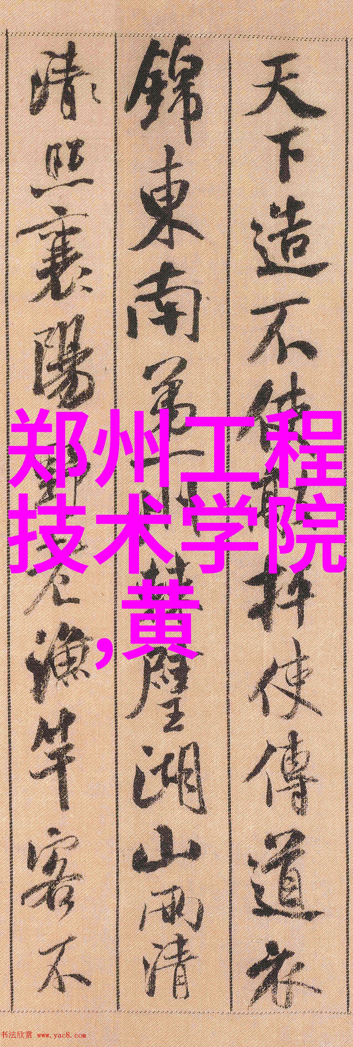 塑料管道的守护者水管的秘密生活