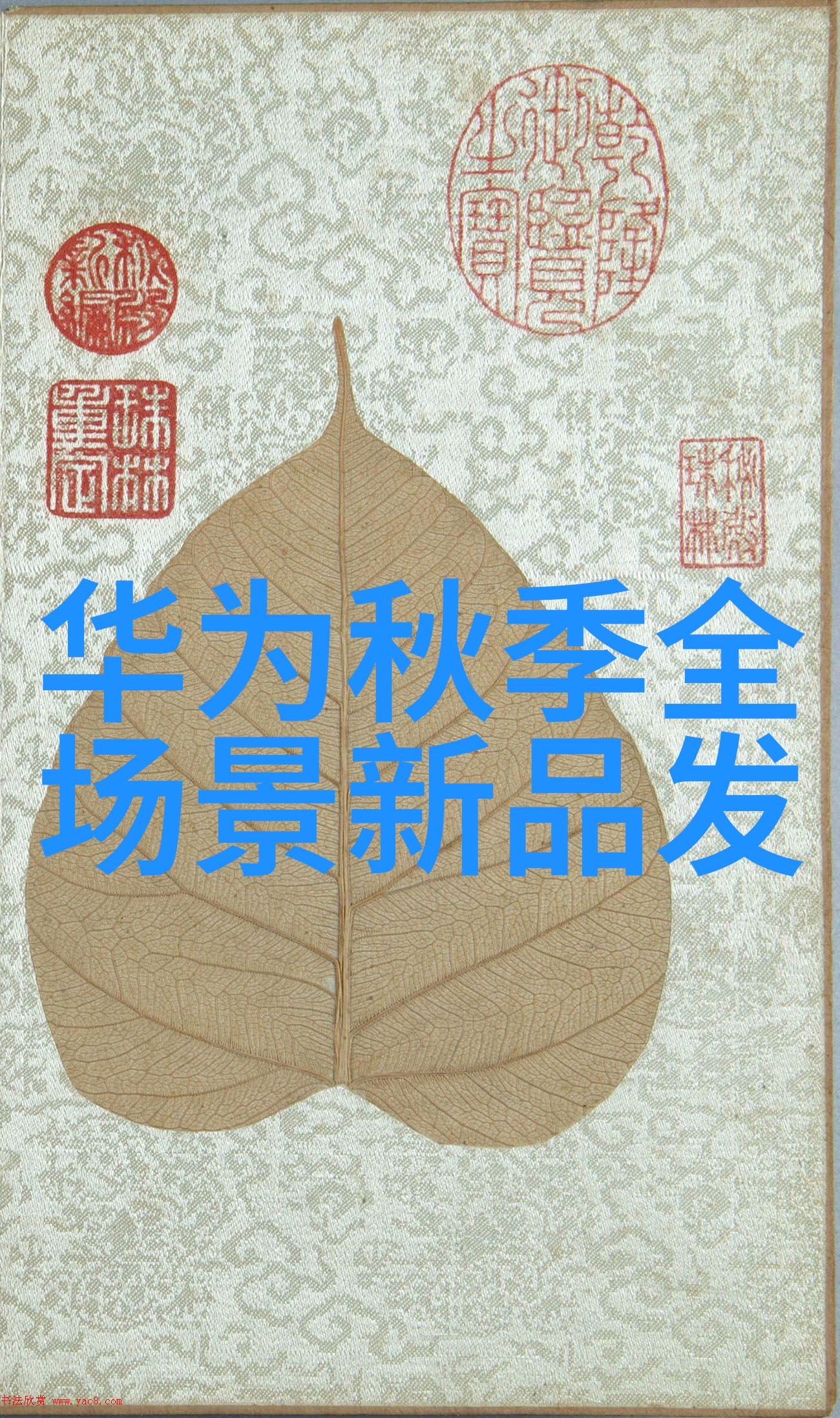 实验室离心机的应用及其在分子生物学研究中的创新运用探究