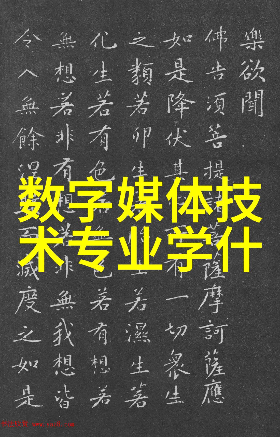 深度学习赋能的机器视觉新纪元智能摄像头如何重塑商业世界