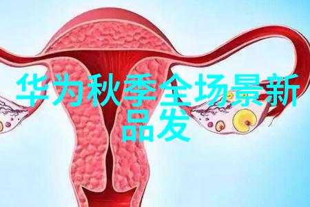 智能制造新篇章如何将专业知识转化为产业优势