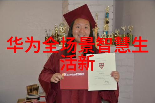 芯片与半导体未知的秘密与穿越时空的追踪
