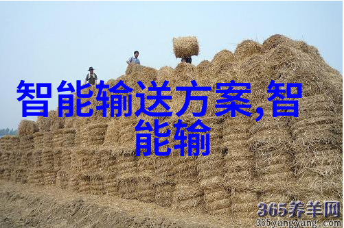 功能最全的智能手表全面监控与无限便捷