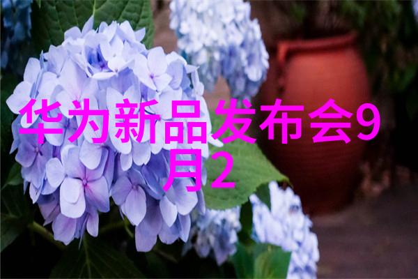 净化之轮成品灭菌的无形旋律