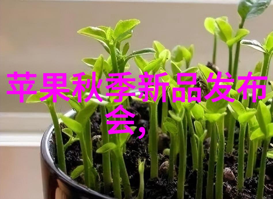 选择合适的灭菌方式有哪些关键因素