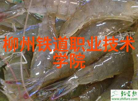 骁龙8引领未来高性能与节能双馈的智能手机芯片革命
