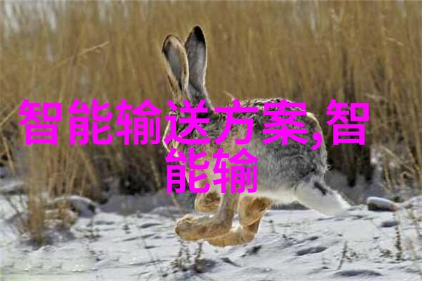 钢管消防涂塑生产厂家确保您的安全设施完备无缺