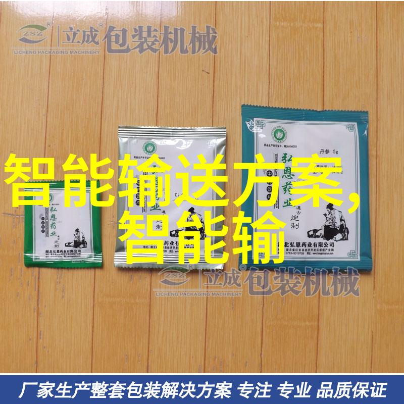 主题我来告诉你什么是芯片