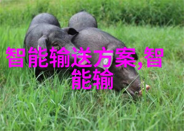 新品发布我眼中的科技奇迹X系列智能手机的革命性升级
