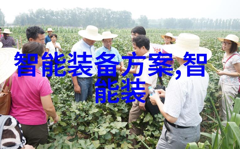 双生子甜蜜相伴一前一后的夹心饼干故事