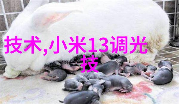 机器的心脏传动带的秘密