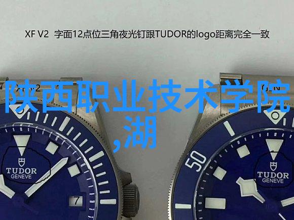 水来一壶笑开颜纯化水制水机组的趣味日常