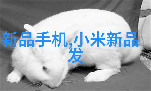 失忆男友爱情与记忆的交错
