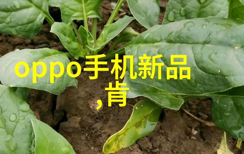 在撰写报告时时间管理是怎样的重要性
