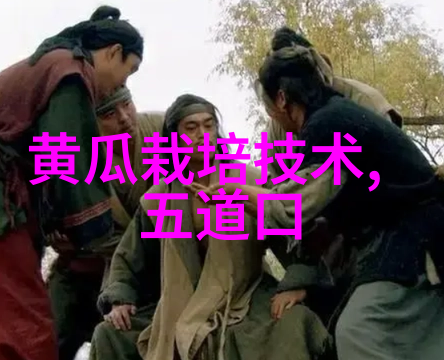 凡尘飞仙穿越者与神秘世界的交响