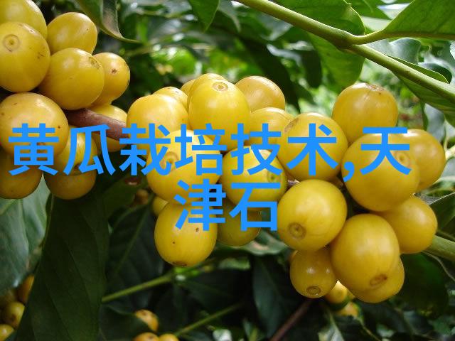 中国制药机械设备能否实现高效环保生产