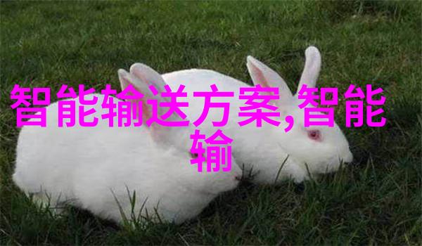 遗失与寻觅一段关于记忆和归属的故事