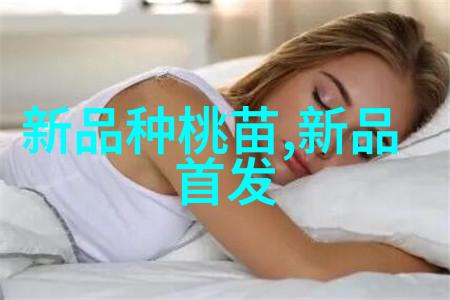 沥青搅拌设备-高效混合技术的关键提升道路工程质量与效率