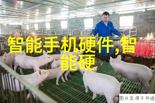 等保测评流程解析从准备到报告提交