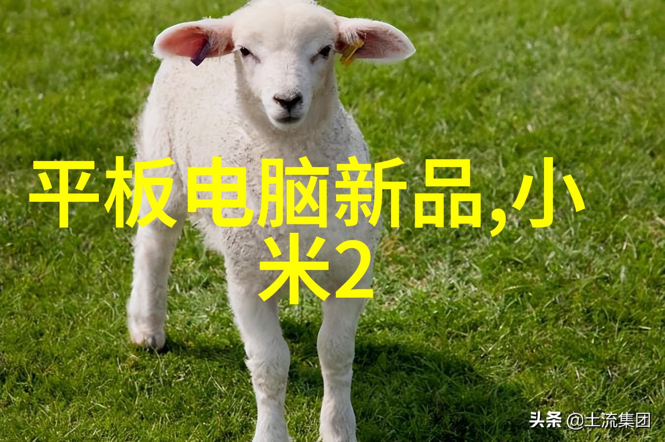 冷凝机组的秘密生活冰点笑话与热情冒险