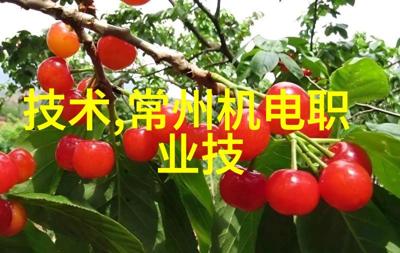 我的中药粉碎机帮我把那些难以消化的草药都给捣碎了