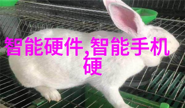 如何通过穿戴设备改善睡眠质量