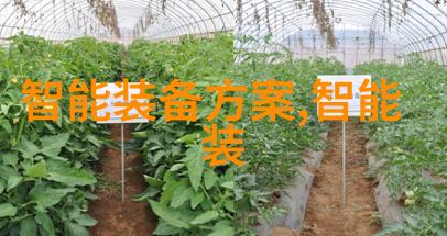 主题你也来见证这颗世界首个龙眼与荔枝杂交新品种的诞生吧