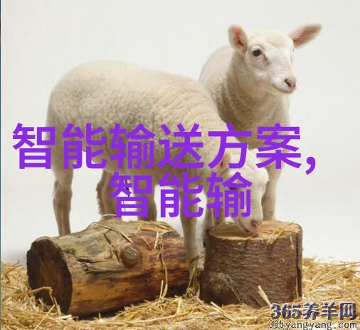 隐秘的流动者城市下方的pe排水管秘密世界