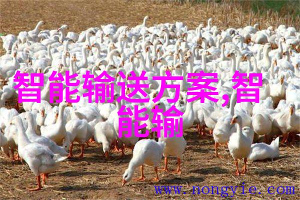 养殖场专用高压喷雾消毒机-清新环境如何运用高压喷雾消毒机提升养殖效率与健康安全