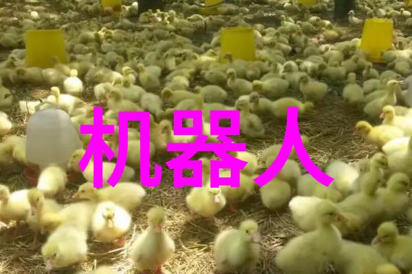 柳州铁道职业技术学院我在这里学铁路真开心