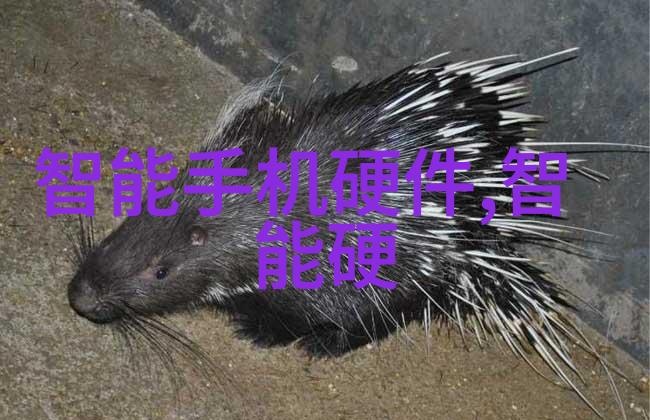 诗意回忆-李将军归来白衣飘扬的历史篇章
