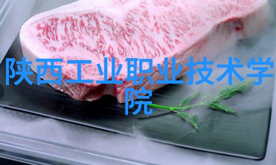 绿色出行时代来临电动火车引领绿色能源革命