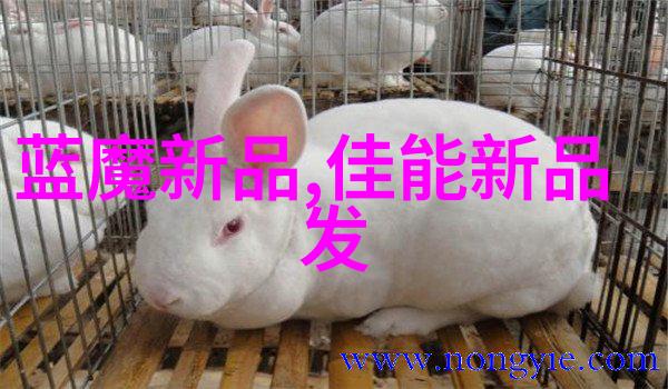 流行文化分析互联网时代如何塑造我们的娱乐偏好