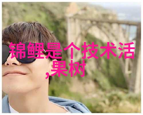 年度总结报告我做了什么别人也知道了