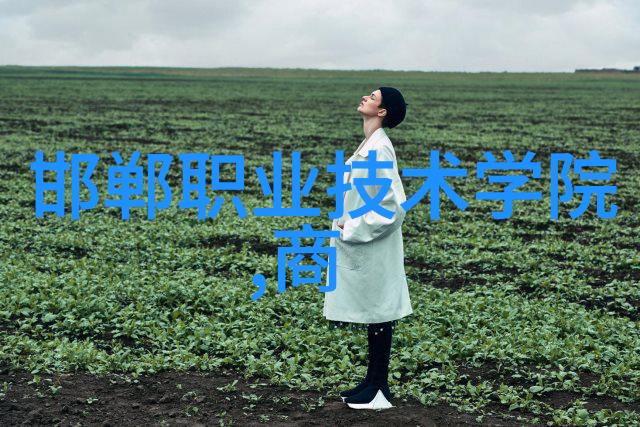 皇妃太倾城我见过的那些让人心动的宫廷美人