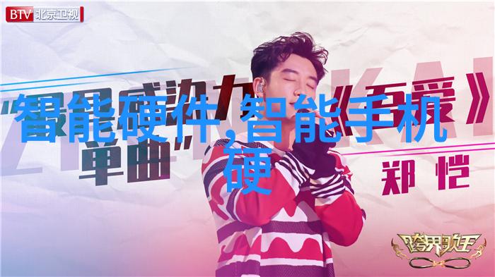 立项前的可研报告-项目前期评估与技术可行性分析