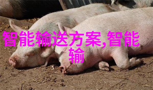 你知道空调制冷的原理是什么吗暑期清凉全攻略多款节能空调你选哪个