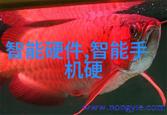 双一流建设下的高等教育变革 以重庆工产技院为例