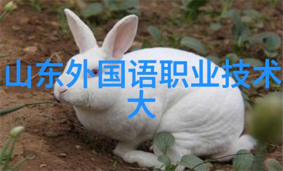 台积电或计划再在美国扩建5座晶圆厂数据显示芯片需求持续增长