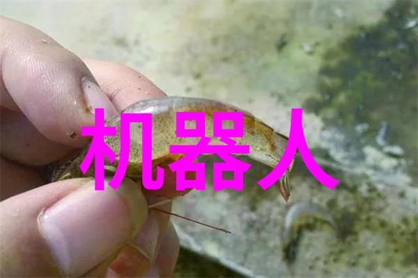 管式螺旋输送机我的小伙伴在物流大舞台上的默默奉献