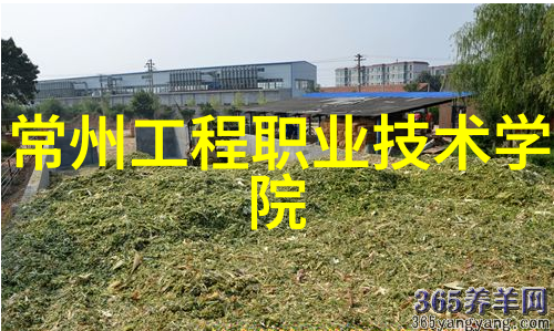 PE管件价格最新价格表